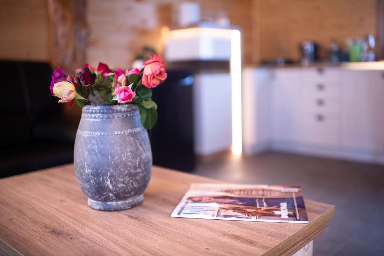 Brvnara Aurora Vista Villa Velika Remeta Exteriör bild