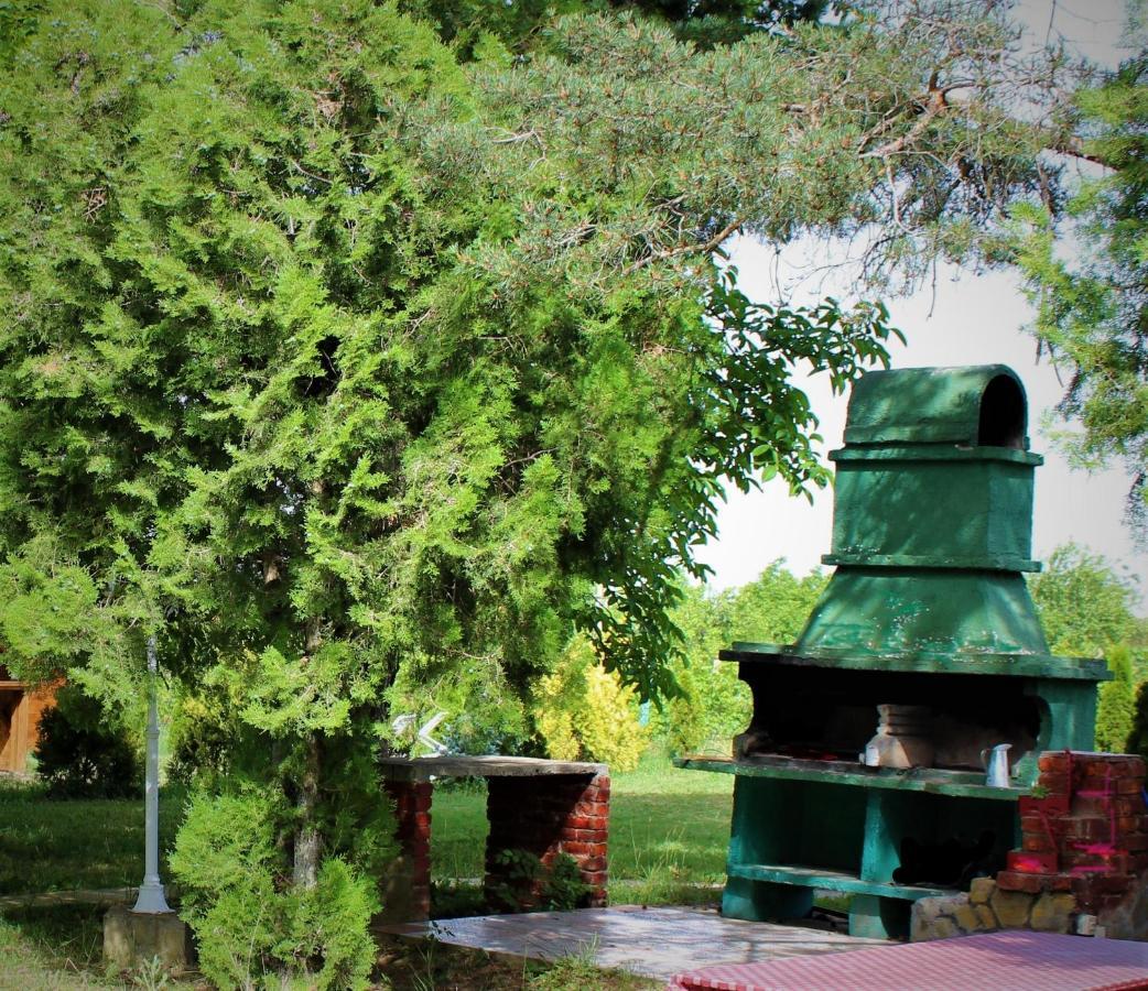 Brvnara Aurora Vista Villa Velika Remeta Exteriör bild