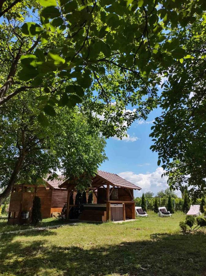 Brvnara Aurora Vista Villa Velika Remeta Exteriör bild