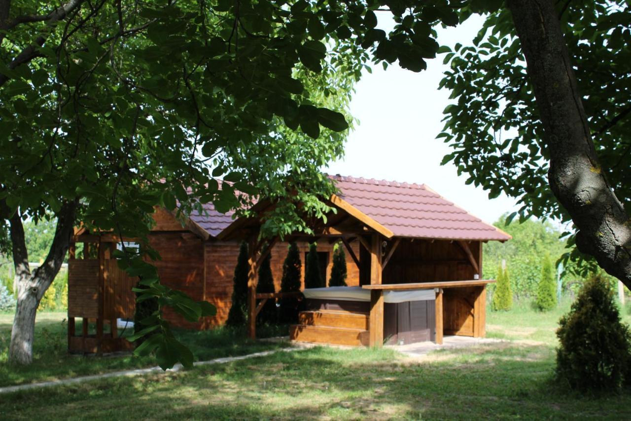 Brvnara Aurora Vista Villa Velika Remeta Exteriör bild