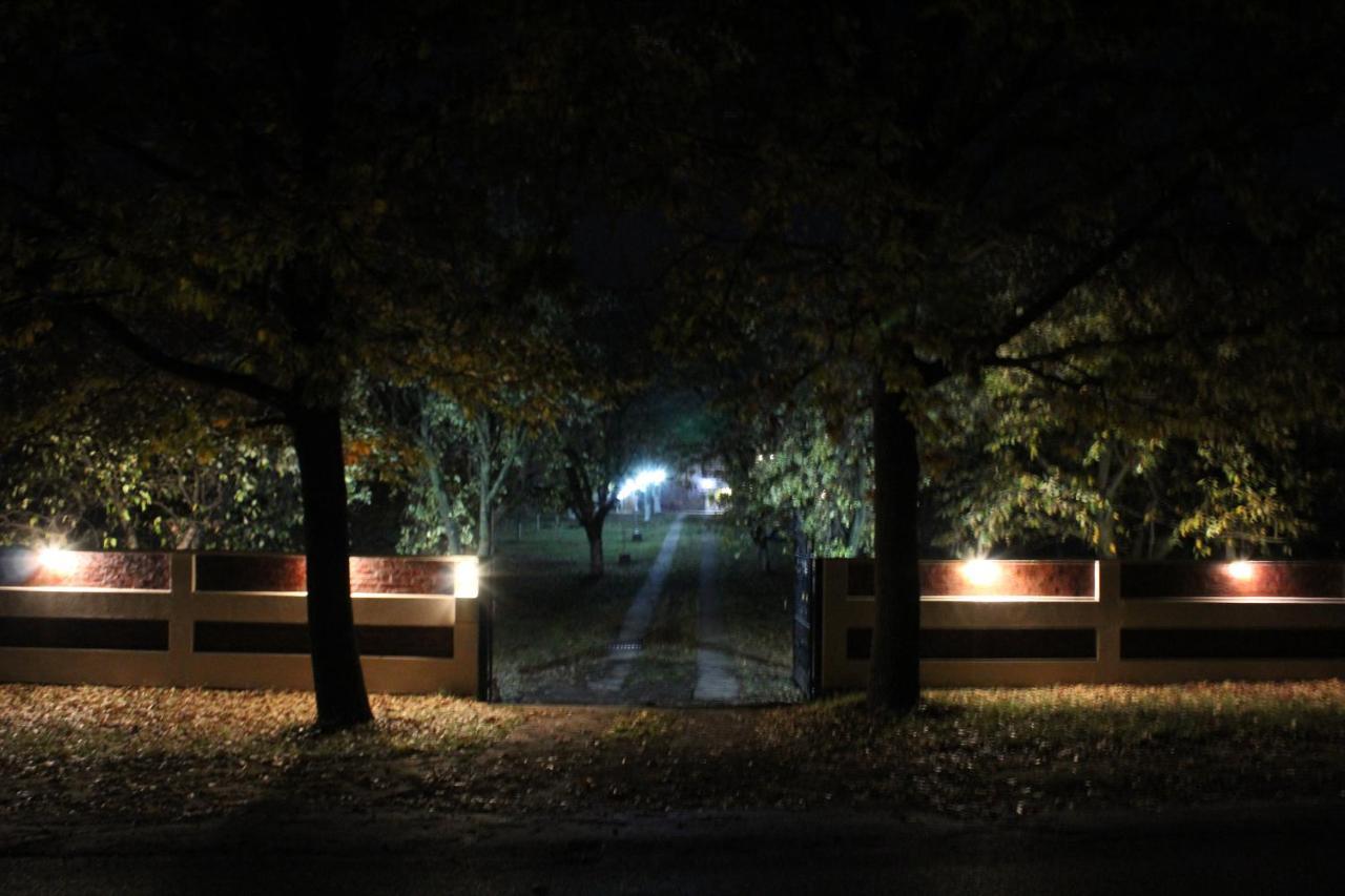 Brvnara Aurora Vista Villa Velika Remeta Exteriör bild