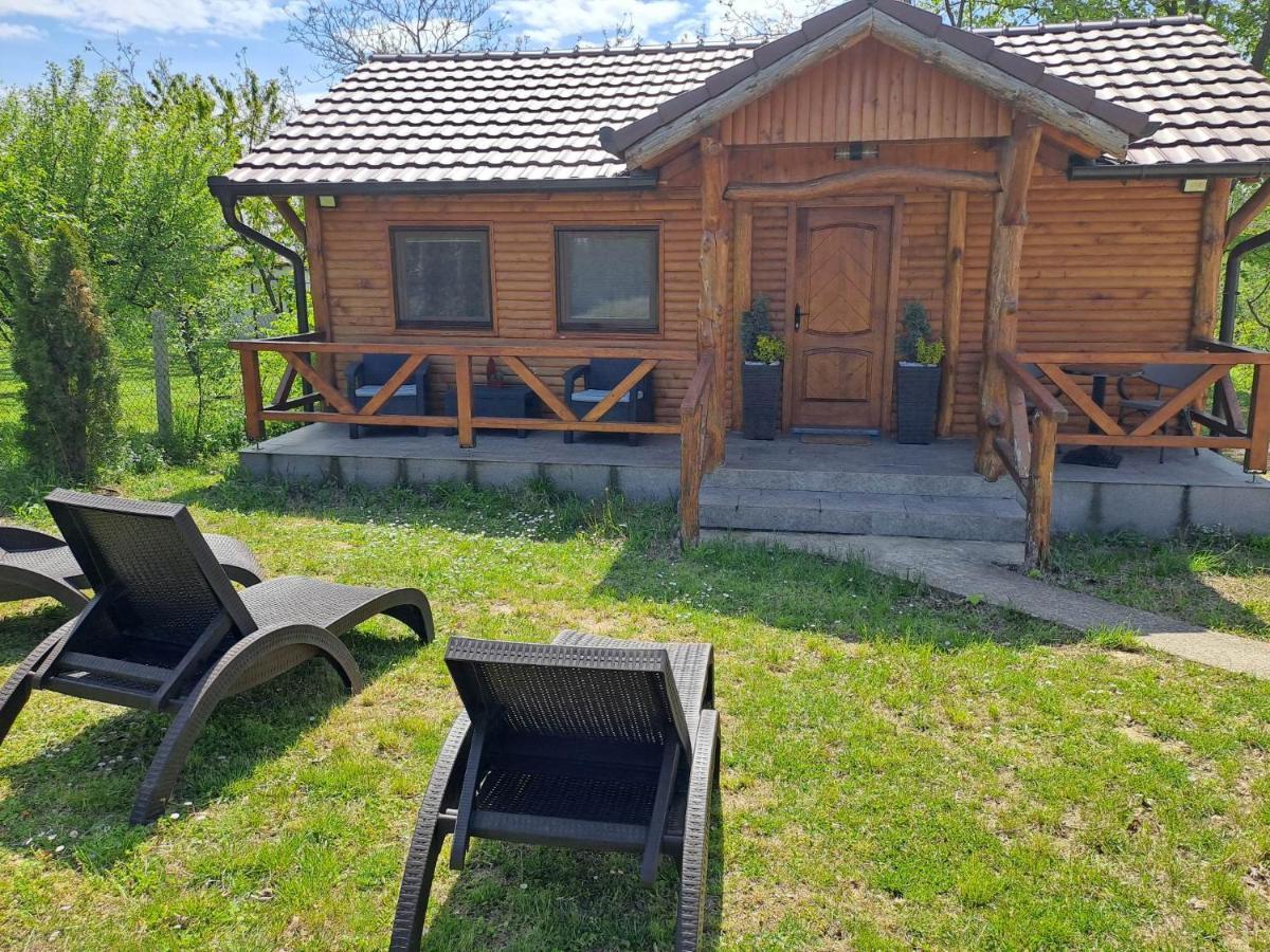 Brvnara Aurora Vista Villa Velika Remeta Exteriör bild