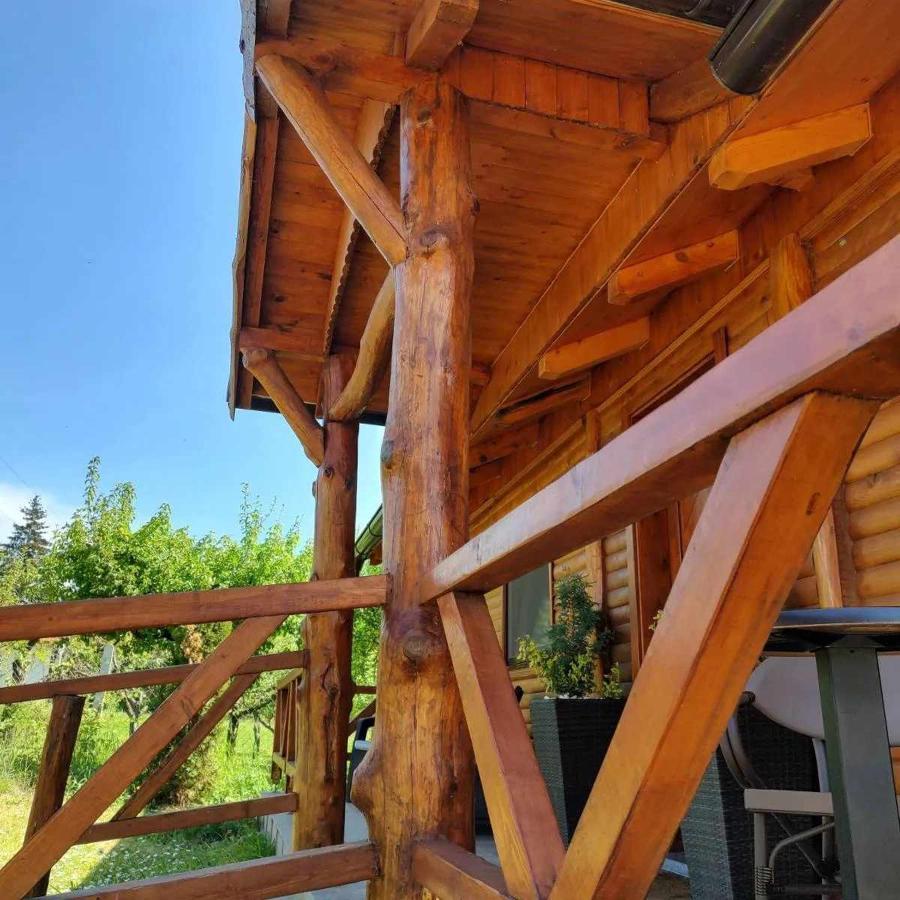Brvnara Aurora Vista Villa Velika Remeta Exteriör bild