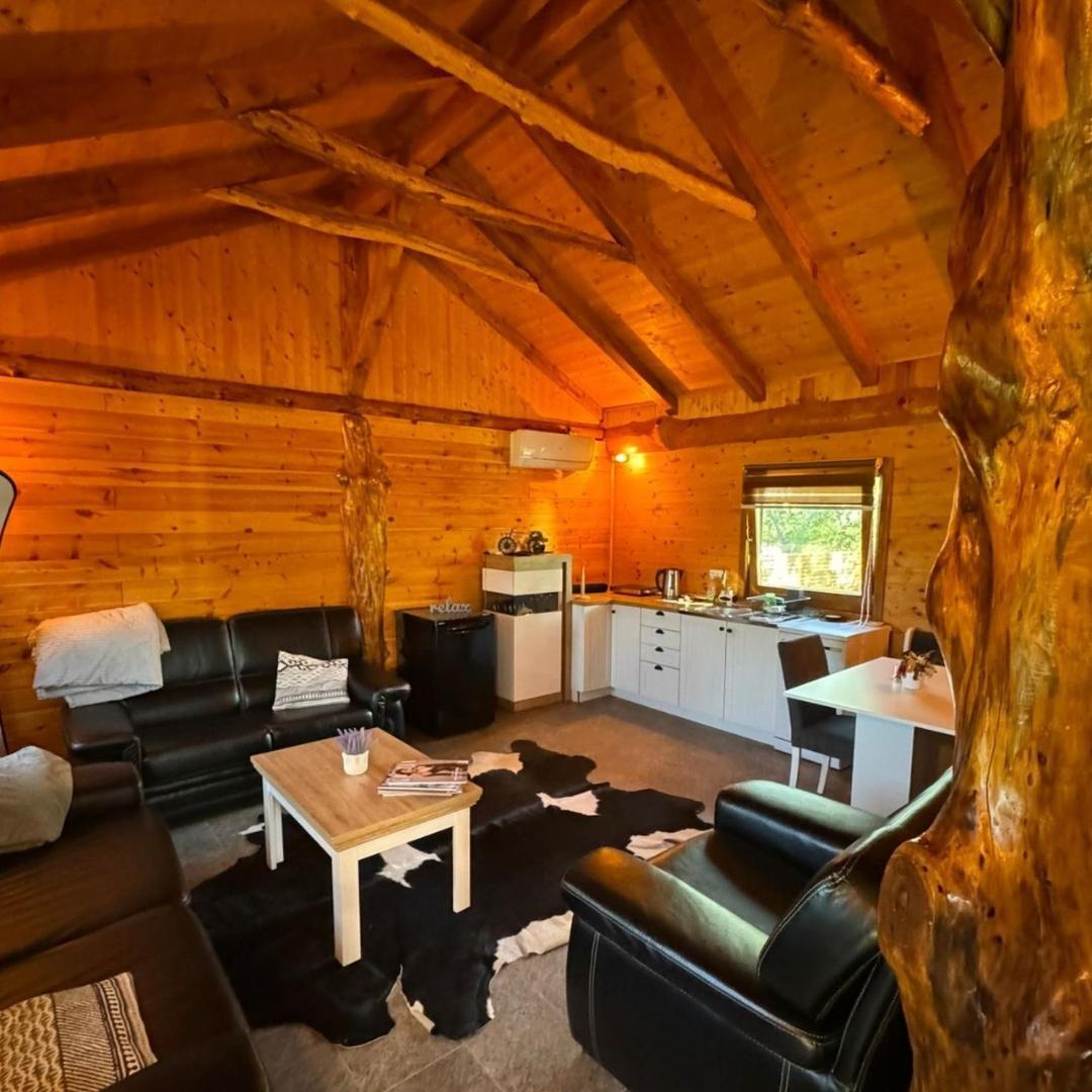 Brvnara Aurora Vista Villa Velika Remeta Exteriör bild